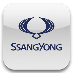 Кузовные детали для Ssang Yong