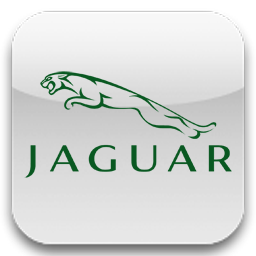 Кузовные детали для Jaguar